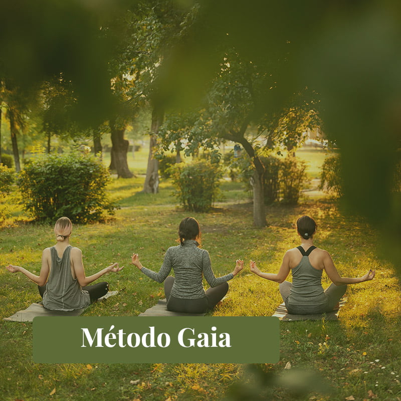Método Gaia